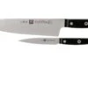 Zwilling Gourmet Set De Couteaux, 2 Pièces, 36130-005 1 Zwilling Gourmet Set De Couteaux, 2 Pièces, 36130-005 -Leatherman Soldes ZW36130 005 0 01 zwilling gourmet zw36130 005 0 01